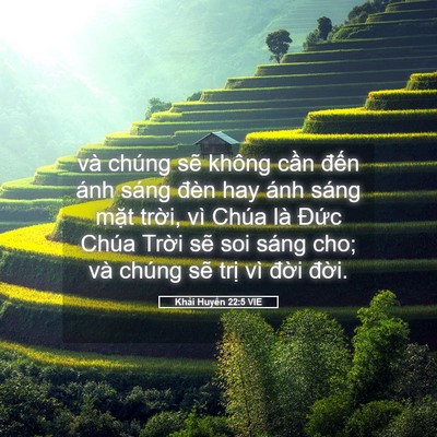 Picture 05 - Khải Huyền 22:5 VIE - và chúng sẽ không cần đến ánh sáng - Bible Verse Picture