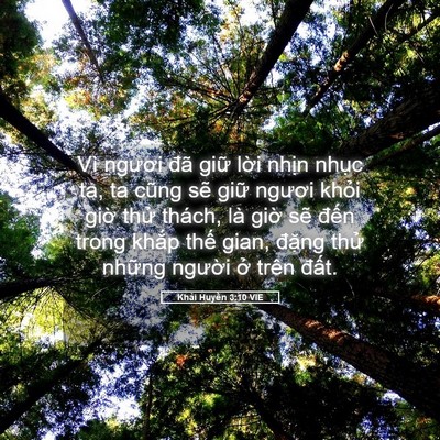 Picture 05 - Khải Huyền 3:10 VIE - Vì ngươi đã giữ lời nhịn nhục ta, ta - Bible Verse Picture