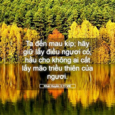 Picture 05 - Khải Huyền 3:11 VIE - Ta đến mau kíp; hãy giữ lấy điều - Bible Verse Picture