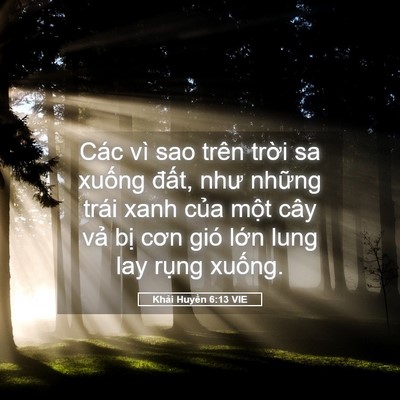 Picture 05 - Khải Huyền 6:13 VIE - Các vì sao trên trời sa xuống đất, như - Bible Verse Picture