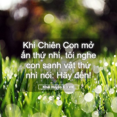 Picture 05 - Khải Huyền 6:3 VIE - Khi Chiên Con mở ấn thứ nhì, tôi nghe - Bible Verse Picture