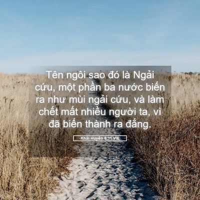 Picture 05 - Khải Huyền 8:11 VIE - Tên ngôi sao đó là Ngải cứu, một - Bible Verse Picture
