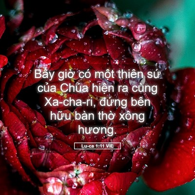 Picture 05 - Lu-ca 1:11 VIE - Bấy giờ có một thiên sứ của Chúa - Bible Verse Picture