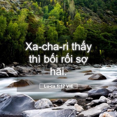 Picture 05 - Lu-ca 1:12 VIE - Xa-cha-ri thấy thì bối rối sợ - Bible Verse Picture