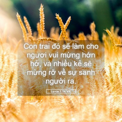 Picture 05 - Lu-ca 1:14 VIE - Con trai đó sẽ làm cho ngươi vui mừng - Bible Verse Picture