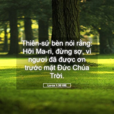Picture 05 - Lu-ca 1:30 VIE - Thiên-sứ bèn nói rằng: Hỡi Ma-ri, - Bible Verse Picture