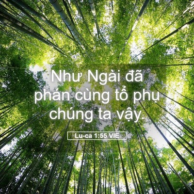 Picture 05 - Lu-ca 1:55 VIE - Như Ngài đã phán cùng tổ phụ chúng ta - Bible Verse Picture