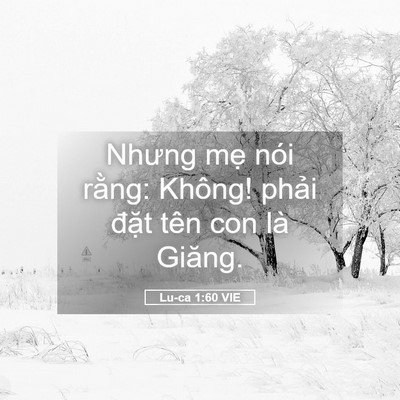 Picture 05 - Lu-ca 1:60 VIE - Nhưng mẹ nói rằng: Không! phải đặt - Bible Verse Picture