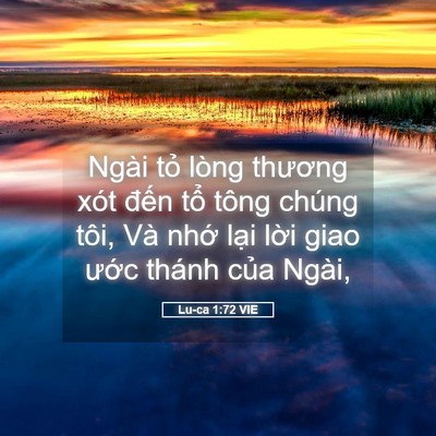 Picture 05 - Lu-ca 1:72 VIE - Ngài tỏ lòng thương xót đến tổ tông - Bible Verse Picture