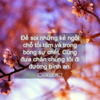 Picture 05 - Lu-ca 1:79 VIE - Để soi những kẻ ngồi chỗ tối tăm - Bible Verse Picture