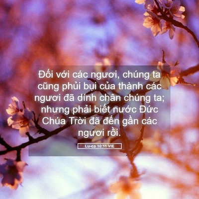 Picture 05 - Lu-ca 10:11 VIE - Đối với các ngươi, chúng ta cũng phủi - Bible Verse Picture