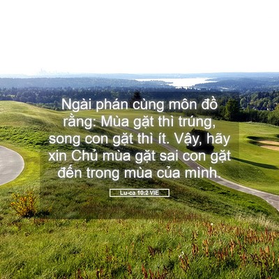 Picture 05 - Lu-ca 10:2 VIE - Ngài phán cùng môn đồ rằng: Mùa gặt - Bible Verse Picture