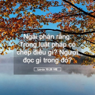Picture 05 - Lu-ca 10:26 VIE - Ngài phán rằng: Trong luật pháp có chép - Bible Verse Picture