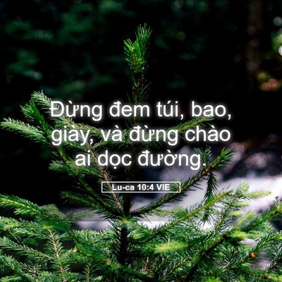 Picture 05 - Lu-ca 10:4 VIE - Đừng đem túi, bao, giày, và đừng chào - Bible Verse Picture