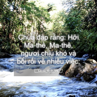 Picture 05 - Lu-ca 10:41 VIE - Chúa đáp rằng: Hỡi Ma-thê, Ma-thê, - Bible Verse Picture