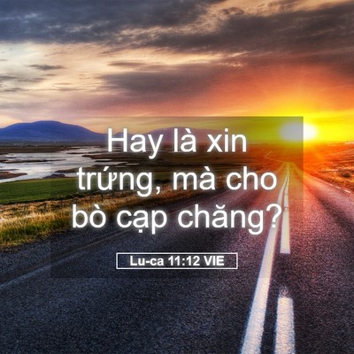 Picture 05 - Lu-ca 11:12 VIE - Hay là xin trứng, mà cho bò cạp - Bible Verse Picture