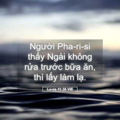 Picture 05 - Lu-ca 11:38 VIE - Người Pha-ri-si thấy Ngài không rửa - Bible Verse Picture
