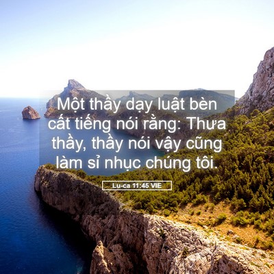 Picture 05 - Lu-ca 11:45 VIE - Một thầy dạy luật bèn cất tiếng nói - Bible Verse Picture