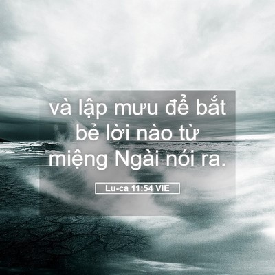 Picture 05 - Lu-ca 11:54 VIE - và lập mưu để bắt bẻ lời nào từ - Bible Verse Picture