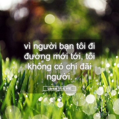 Picture 05 - Lu-ca 11:6 VIE - vì người bạn tôi đi đường mới - Bible Verse Picture