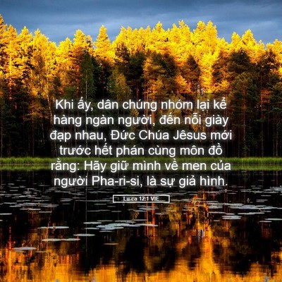 Picture 05 - Lu-ca 12:1 VIE - Khi ấy, dân chúng nhóm lại kể hàng - Bible Verse Picture