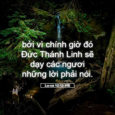 Picture 05 - Lu-ca 12:12 VIE - bởi vì chính giờ đó Đức Thánh Linh - Bible Verse Picture