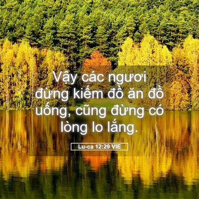 Picture 05 - Lu-ca 12:29 VIE - Vậy các ngươi đừng kiếm đồ ăn đồ - Bible Verse Picture