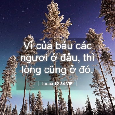 Picture 05 - Lu-ca 12:34 VIE - Vì của báu các ngươi ở đâu, thì lòng - Bible Verse Picture