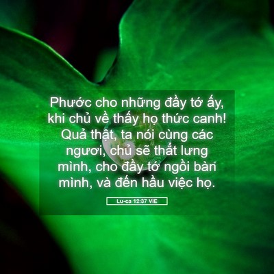 Picture 05 - Lu-ca 12:37 VIE - Phước cho những đầy tớ ấy, khi chủ - Bible Verse Picture