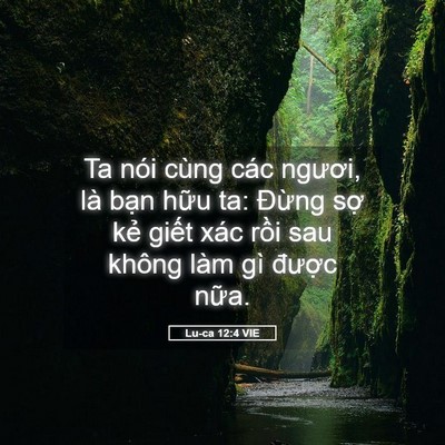 Picture 05 - Lu-ca 12:4 VIE - Ta nói cùng các ngươi, là bạn hữu ta: - Bible Verse Picture
