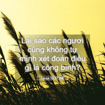 Picture 05 - Lu-ca 12:57 VIE - Lại sao các ngươi cũng không tự mình - Bible Verse Picture