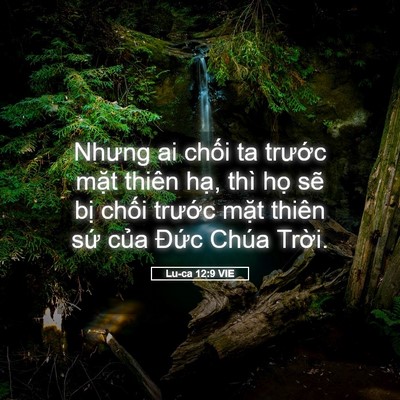 Picture 05 - Lu-ca 12:9 VIE - Nhưng ai chối ta trước mặt thiên hạ, - Bible Verse Picture