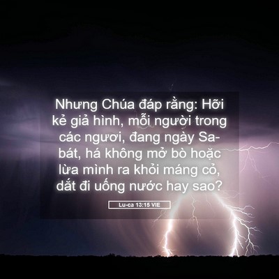 Picture 05 - Lu-ca 13:15 VIE - Nhưng Chúa đáp rằng: Hỡi kẻ giả - Bible Verse Picture