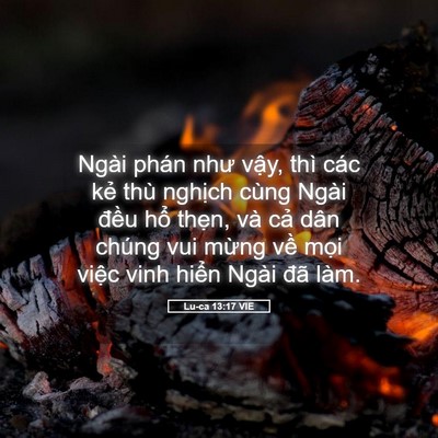 Picture 05 - Lu-ca 13:17 VIE - Ngài phán như vậy, thì các kẻ thù - Bible Verse Picture