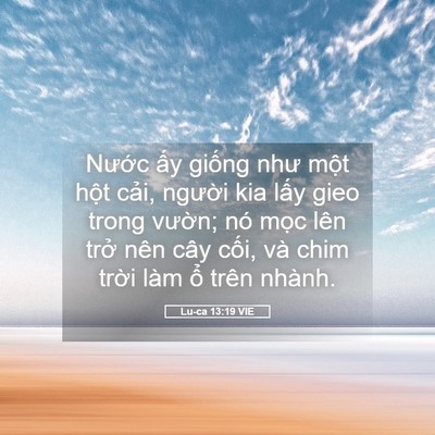 Picture 05 - Lu-ca 13:19 VIE - Nước ấy giống như một hột cải, - Bible Verse Picture