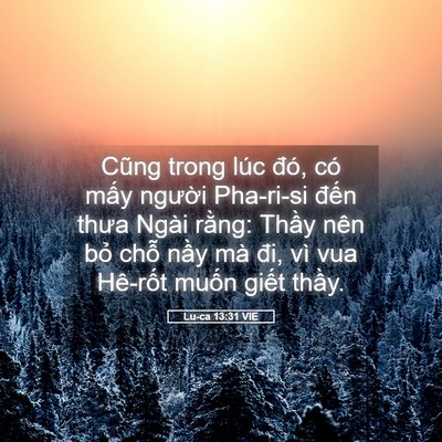 Picture 05 - Lu-ca 13:31 VIE - Cũng trong lúc đó, có mấy người - Bible Verse Picture