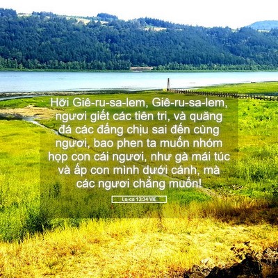 Picture 05 - Lu-ca 13:34 VIE - Hỡi Giê-ru-sa-lem, Giê-ru-sa-lem, ngươi - Bible Verse Picture
