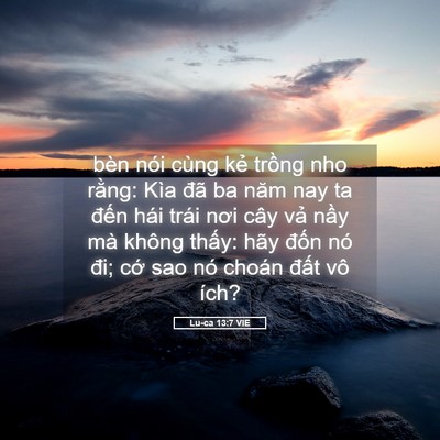 Picture 05 - Lu-ca 13:7 VIE - bèn nói cùng kẻ trồng nho rằng: Kìa - Bible Verse Picture