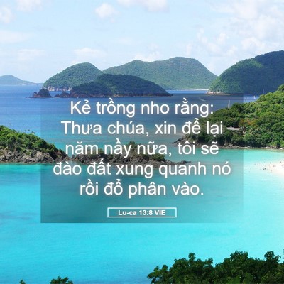 Picture 05 - Lu-ca 13:8 VIE - Kẻ trồng nho rằng: Thưa chúa, xin để - Bible Verse Picture