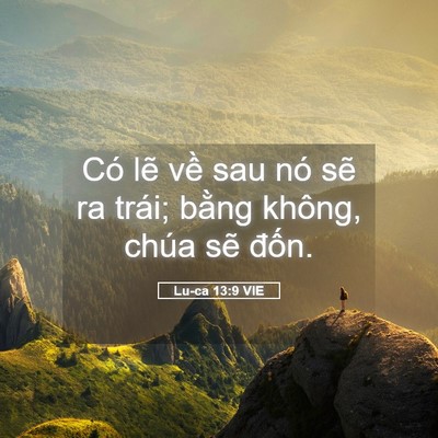 Picture 05 - Lu-ca 13:9 VIE - Có lẽ về sau nó sẽ ra trái; bằng - Bible Verse Picture