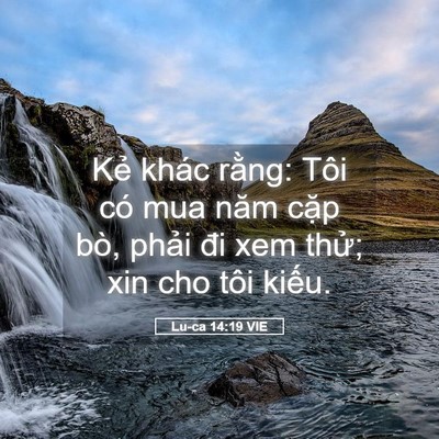 Picture 05 - Lu-ca 14:19 VIE - Kẻ khác rằng: Tôi có mua năm cặp bò, - Bible Verse Picture