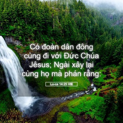 Picture 05 - Lu-ca 14:25 VIE - Có đoàn dân đông cùng đi với Đức - Bible Verse Picture
