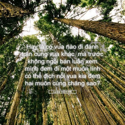 Picture 05 - Lu-ca 14:31 VIE - Hay là có vua nào đi đánh trận cùng vua - Bible Verse Picture