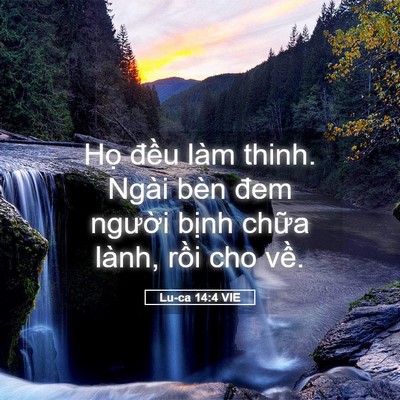 Picture 05 - Lu-ca 14:4 VIE - Họ đều làm thinh. Ngài bèn đem người - Bible Verse Picture