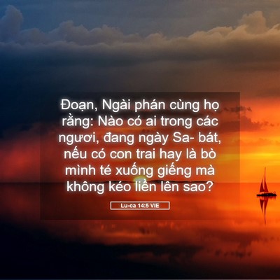 Picture 05 - Lu-ca 14:5 VIE - Đoạn, Ngài phán cùng họ rằng: Nào có - Bible Verse Picture