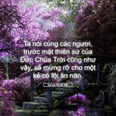 Picture 05 - Lu-ca 15:10 VIE - Ta nói cùng các ngươi, trước mặt thiên - Bible Verse Picture