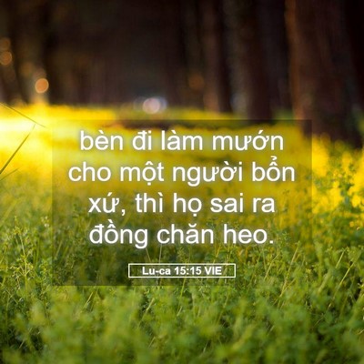 Picture 05 - Lu-ca 15:15 VIE - bèn đi làm mướn cho một người bổn - Bible Verse Picture