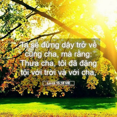Picture 05 - Lu-ca 15:18 VIE - Ta sẽ đứng dậy trở về cùng cha, mà - Bible Verse Picture