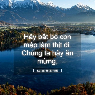Picture 05 - Lu-ca 15:23 VIE - Hãy bắt bò con mập làm thịt đi. Chúng - Bible Verse Picture