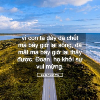 Picture 05 - Lu-ca 15:24 VIE - vì con ta đây đã chết mà bây giờ lại - Bible Verse Picture